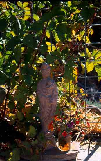 A statue of Kuan Yin, the Buddhist embodiment of compassionate, loving kindness, stands outside the gazebo, gazing across the yard and garden.